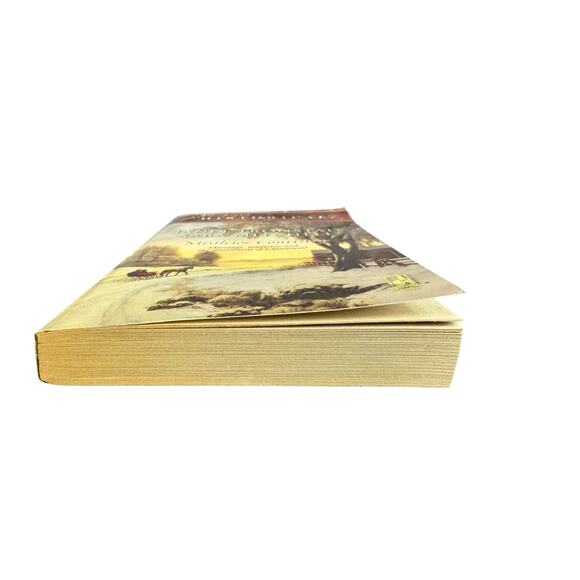 Mistletoe Courtship by Janet Tronstad (Paperback) - Picture 4 of 6